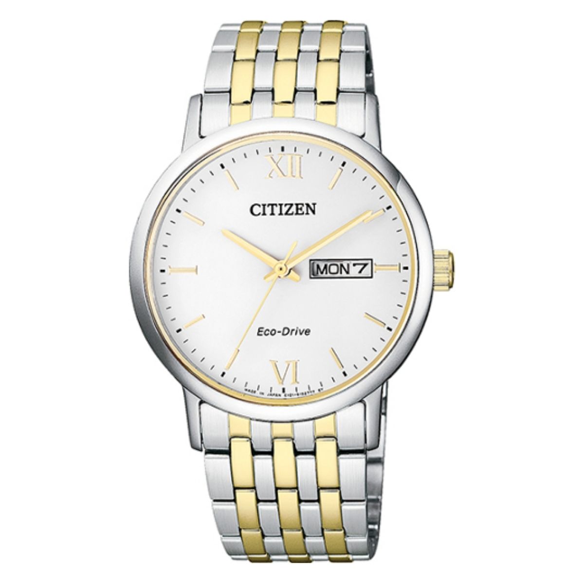 citizen e101